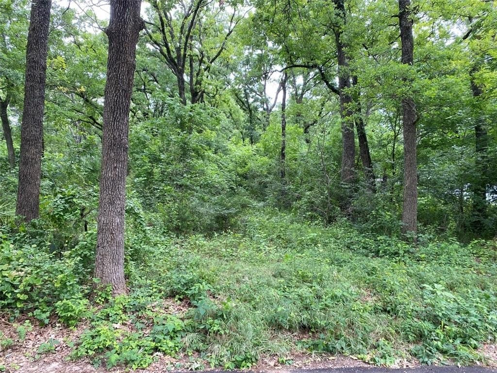 0.16 acres in Navarro County