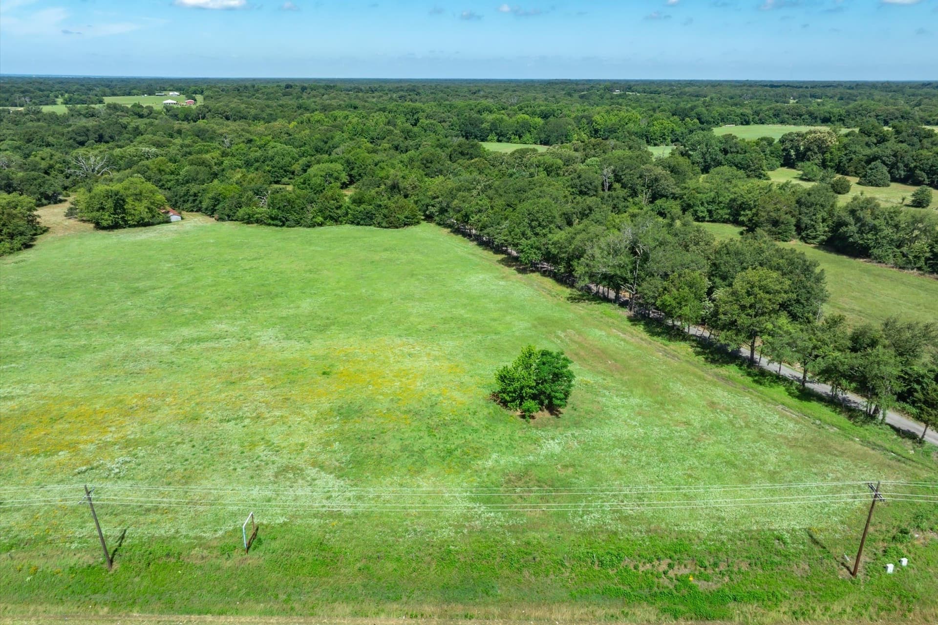 8.45 acres in Rains County - photo 7