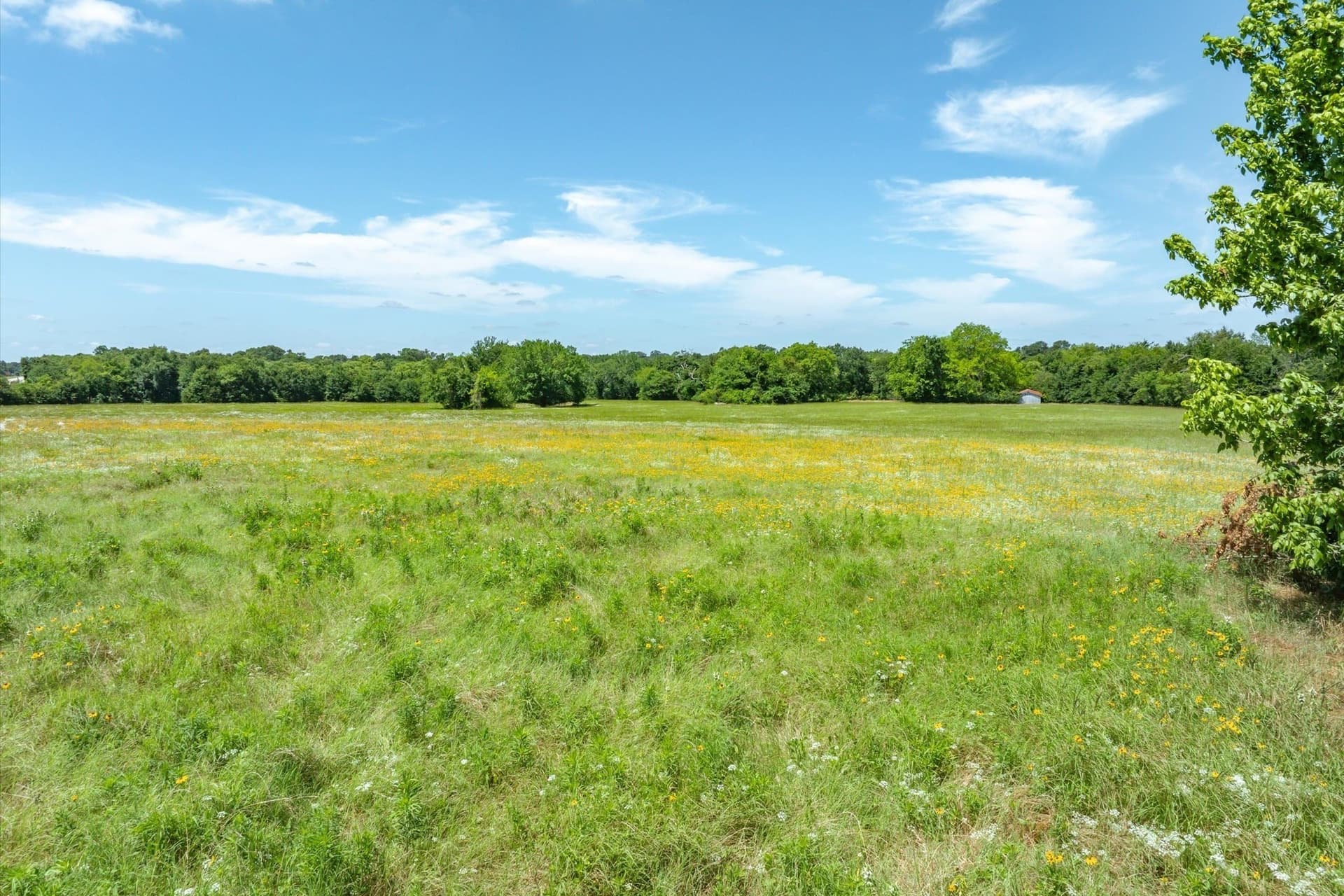 8.45 acres in Rains County - photo 9