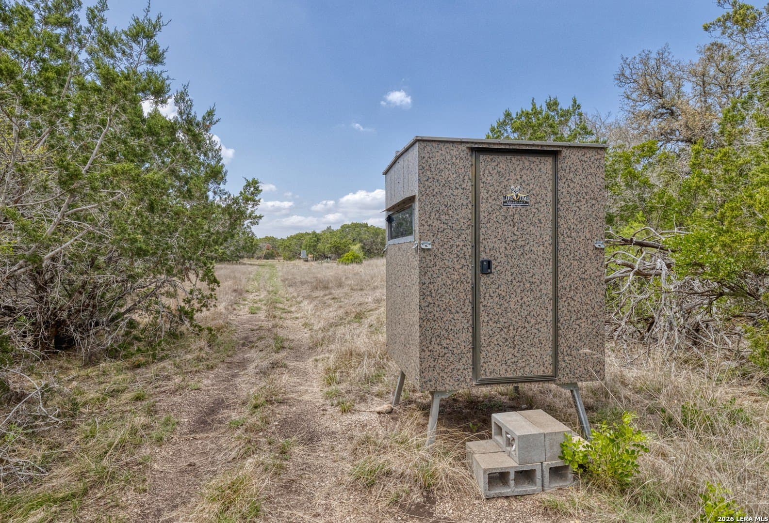 80 acres in Real County gallery image 2