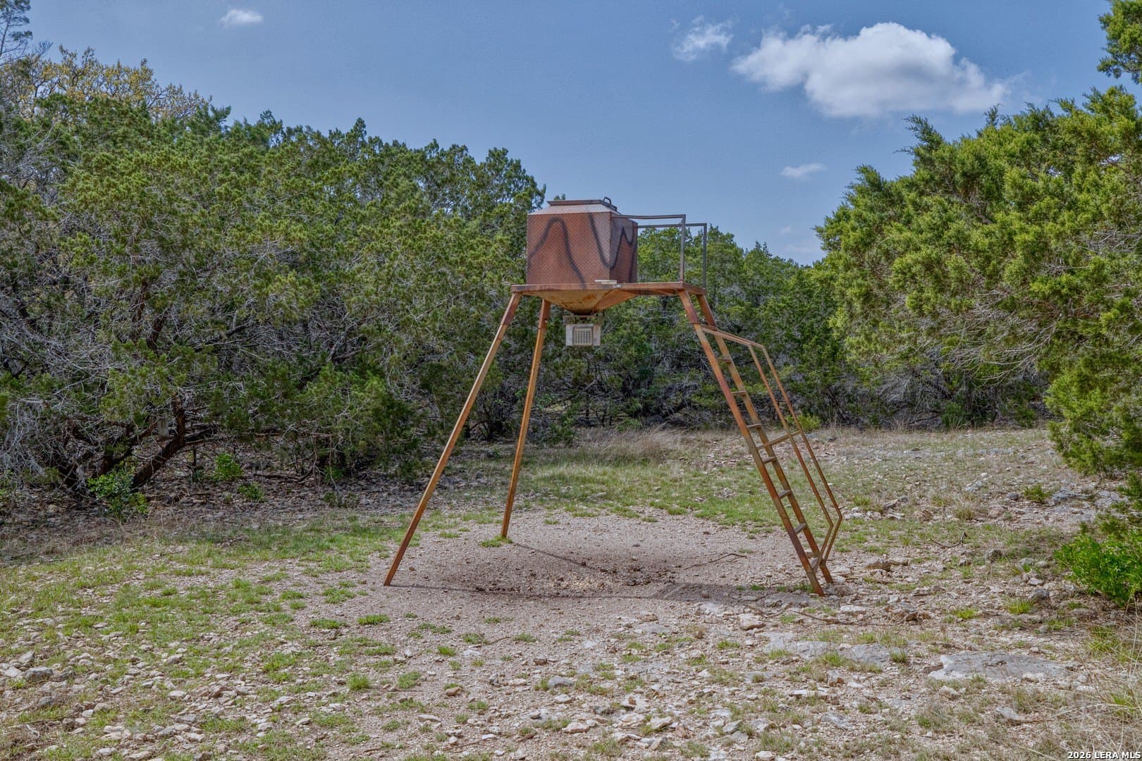 80 acres in Real County gallery image 4