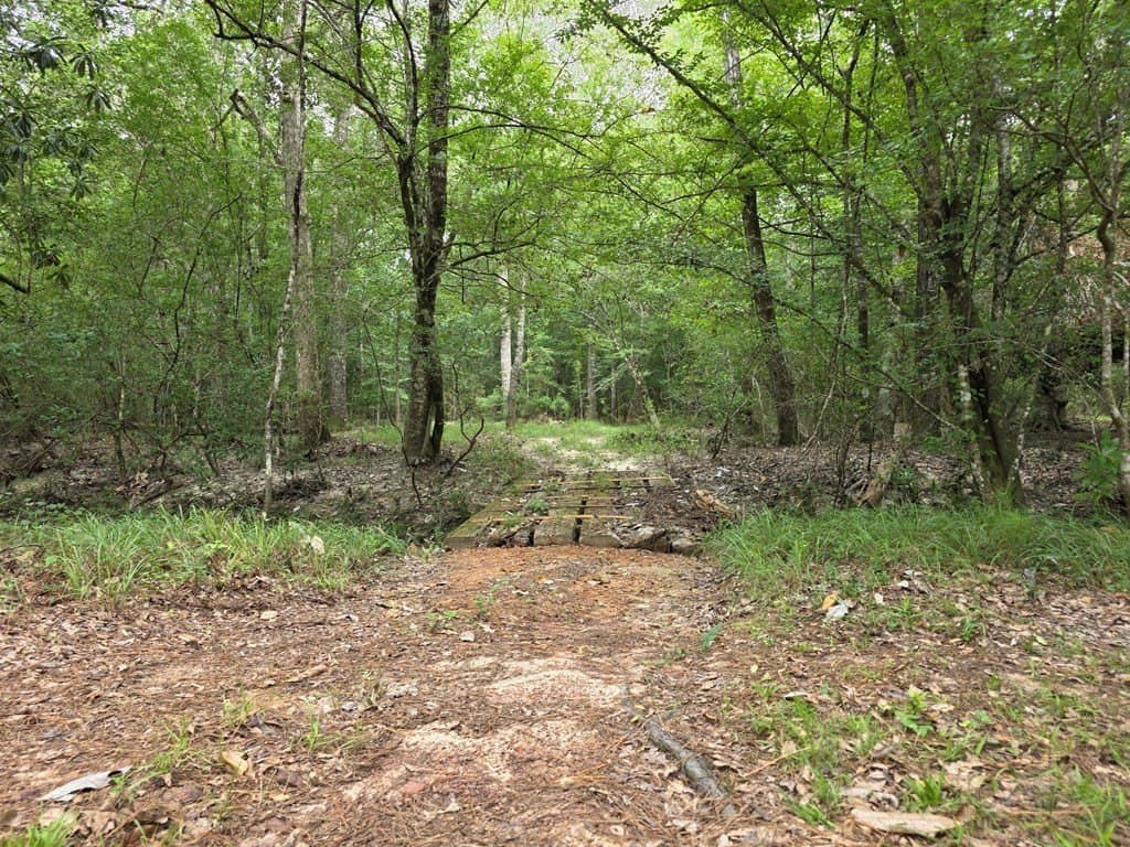 28.88 acres in Texas County - photo 53