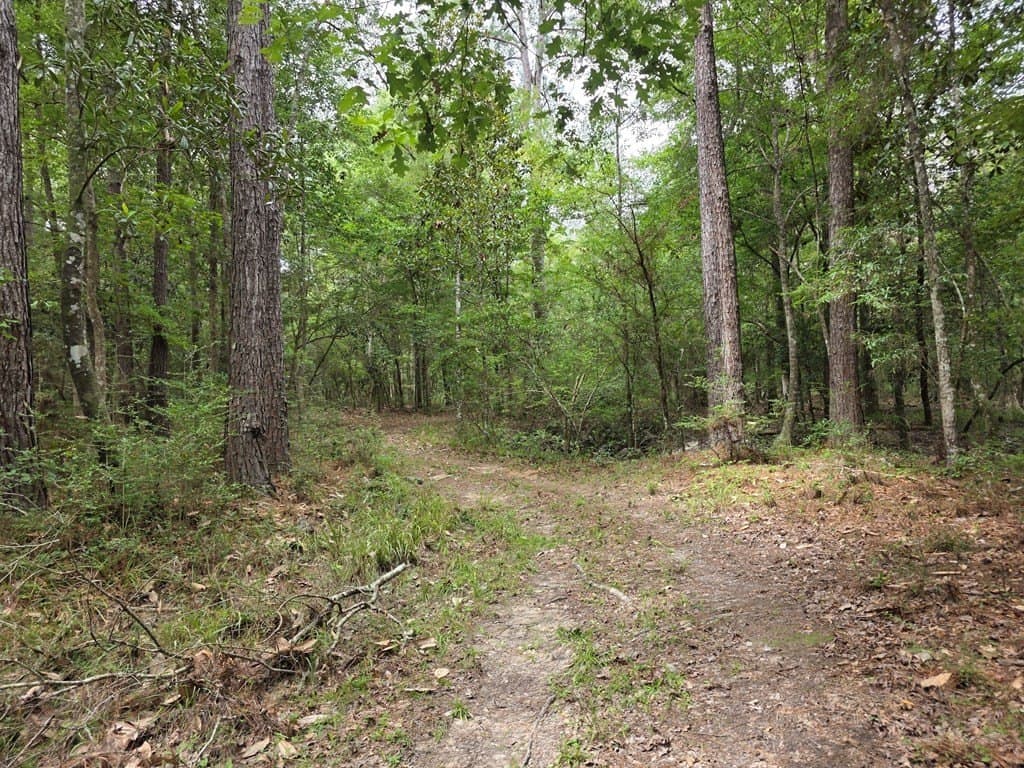 28.88 acres in Texas County - photo 62