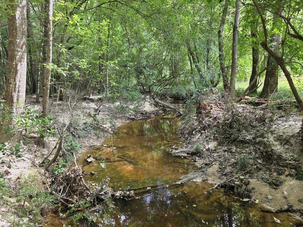 28.88 acres in Texas County - photo 71