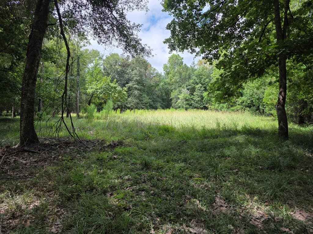 28.88 acres in Texas County - photo 70