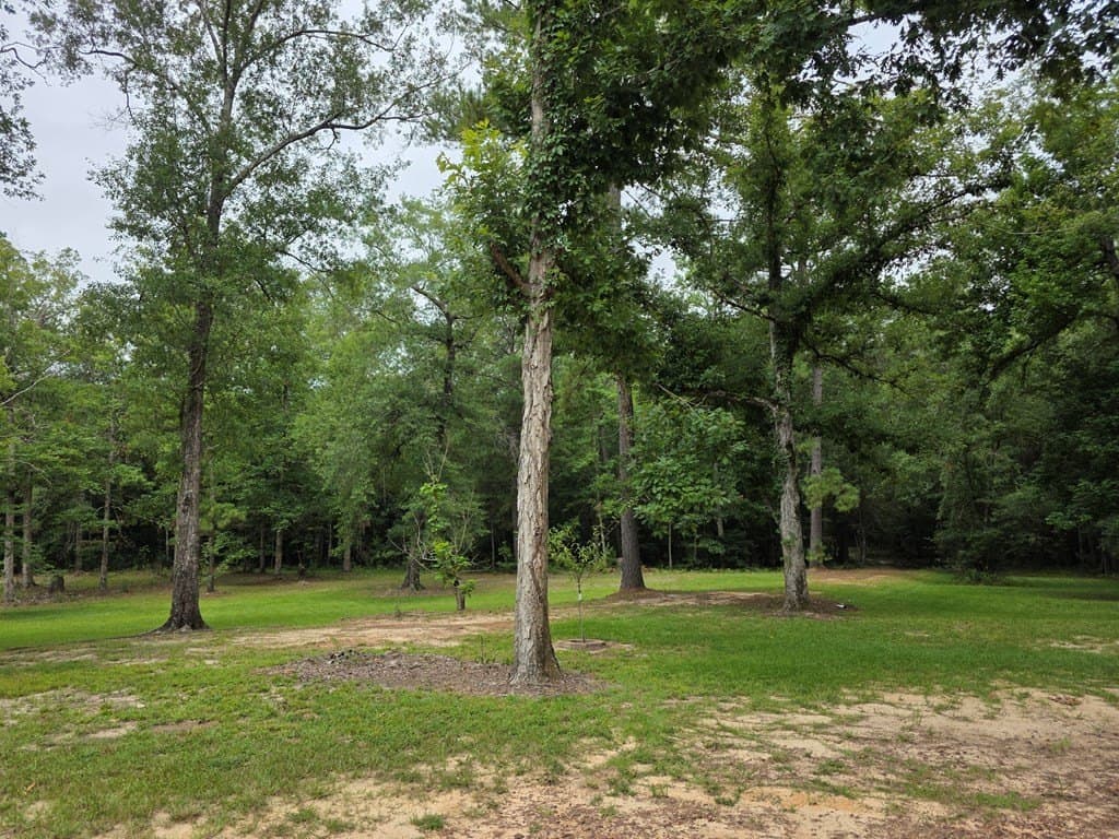28.88 acres in Texas County - photo 51