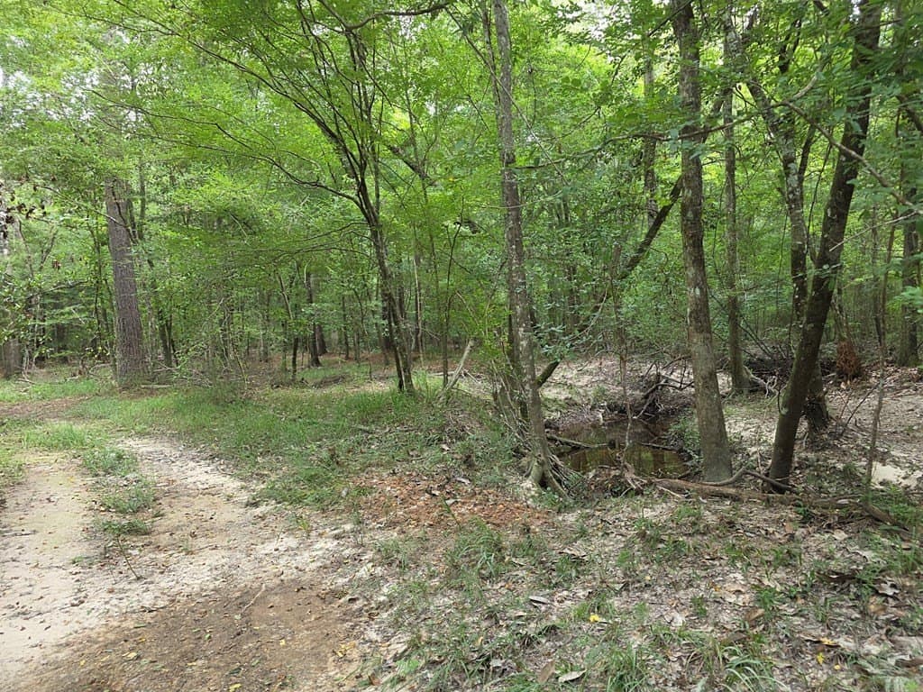 28.88 acres in Texas County - photo 57