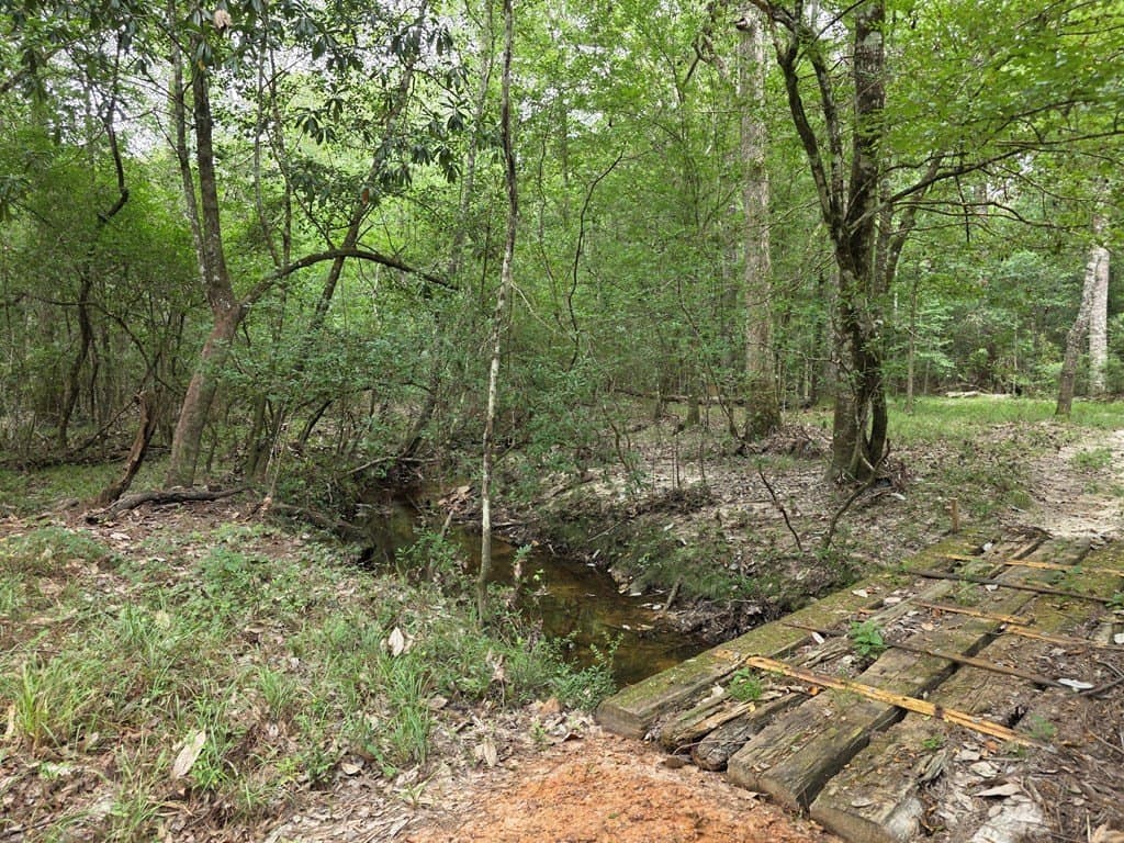 28.88 acres in Texas County - photo 54