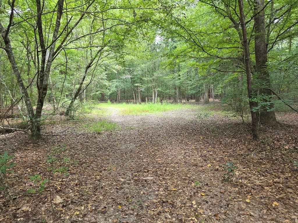 28.88 acres in Texas County - photo 65