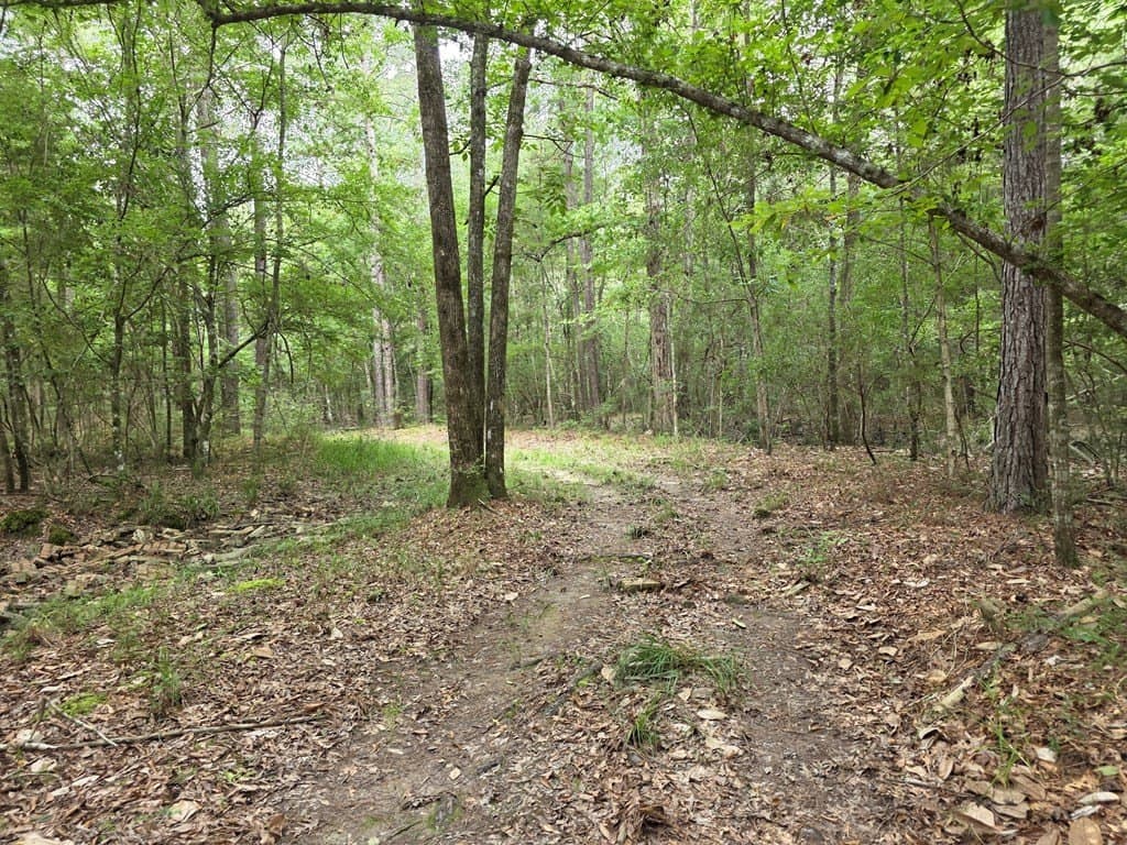 28.88 acres in Texas County - photo 60