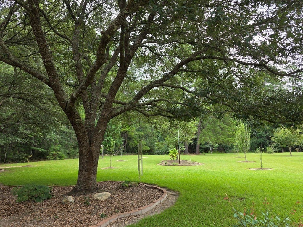 28.88 acres in Texas County - photo 87
