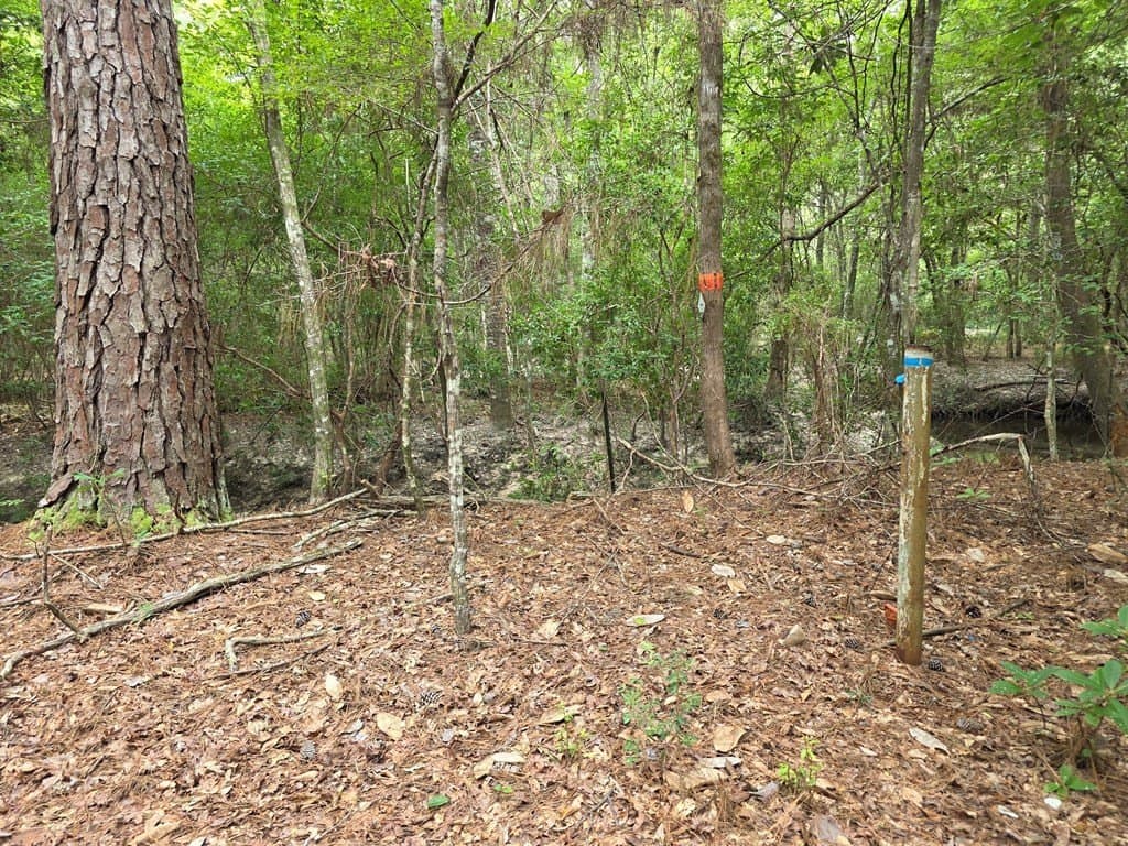 28.88 acres in Texas County - photo 66