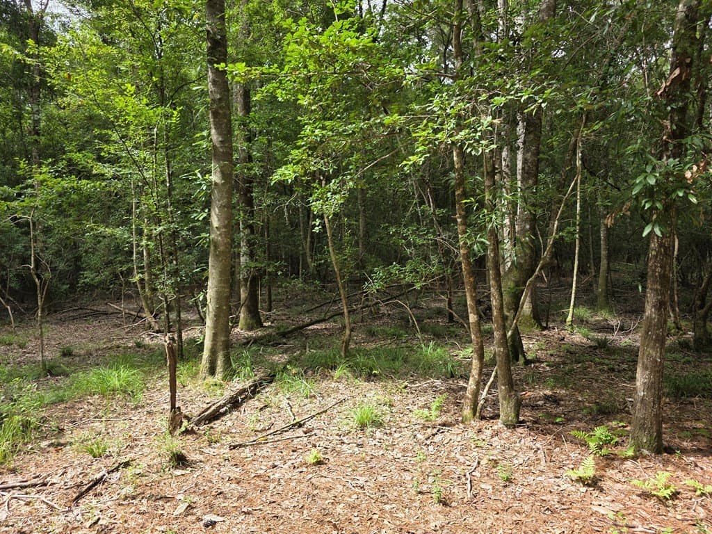 28.88 acres in Texas County - photo 69