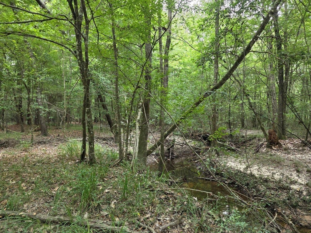 28.88 acres in Texas County - photo 58