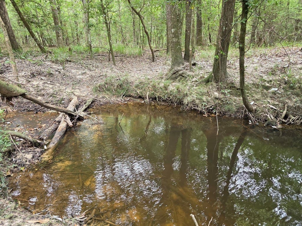 28.88 acres in Texas County - photo 63