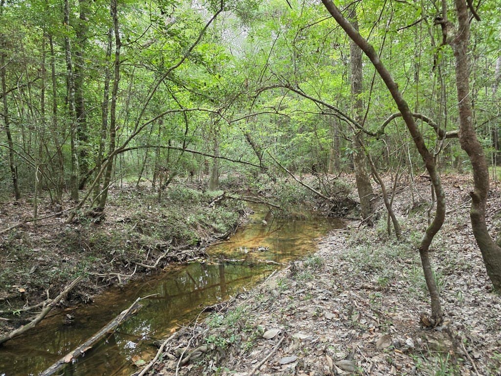 28.88 acres in Texas County - photo 64