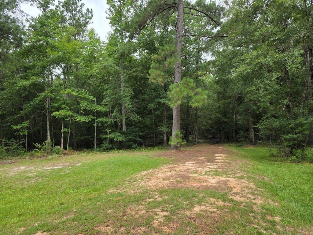 28.88 acres in Texas County - photo 52