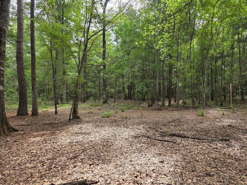 28.88 acres in Texas County - photo 68