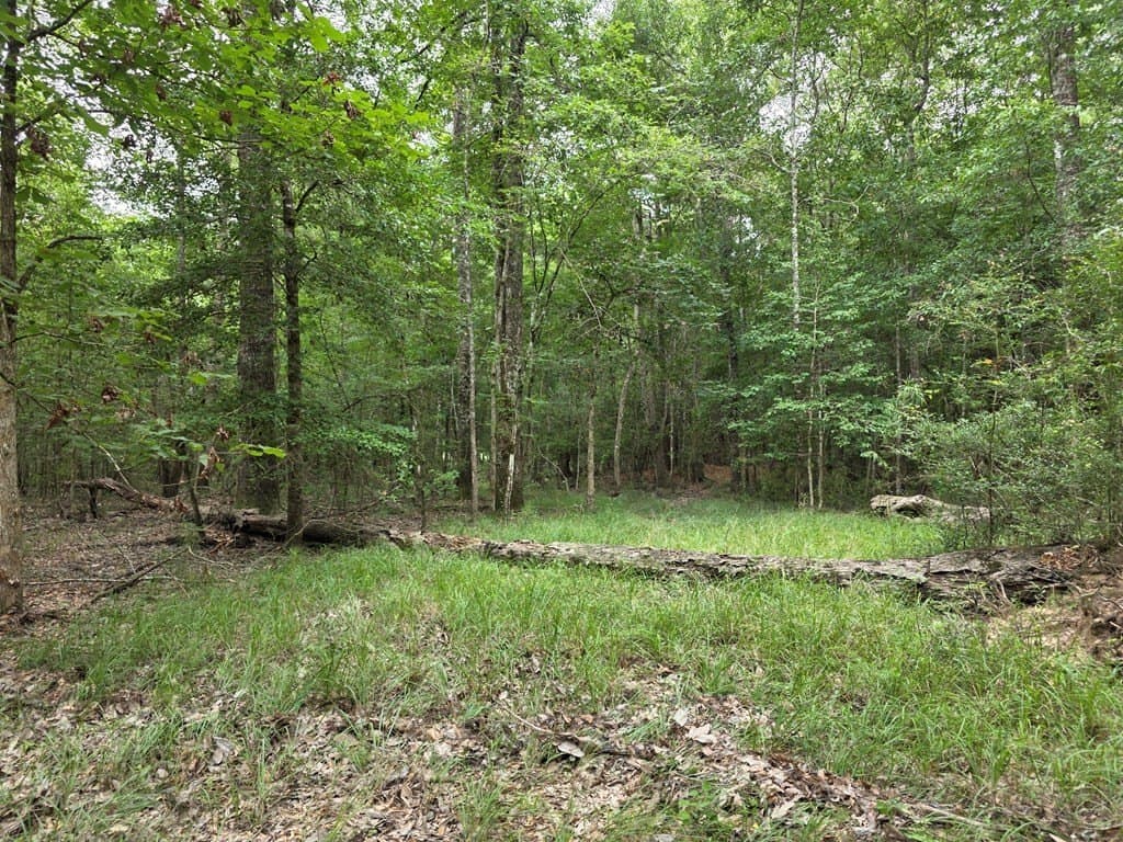 28.88 acres in Texas County - photo 56