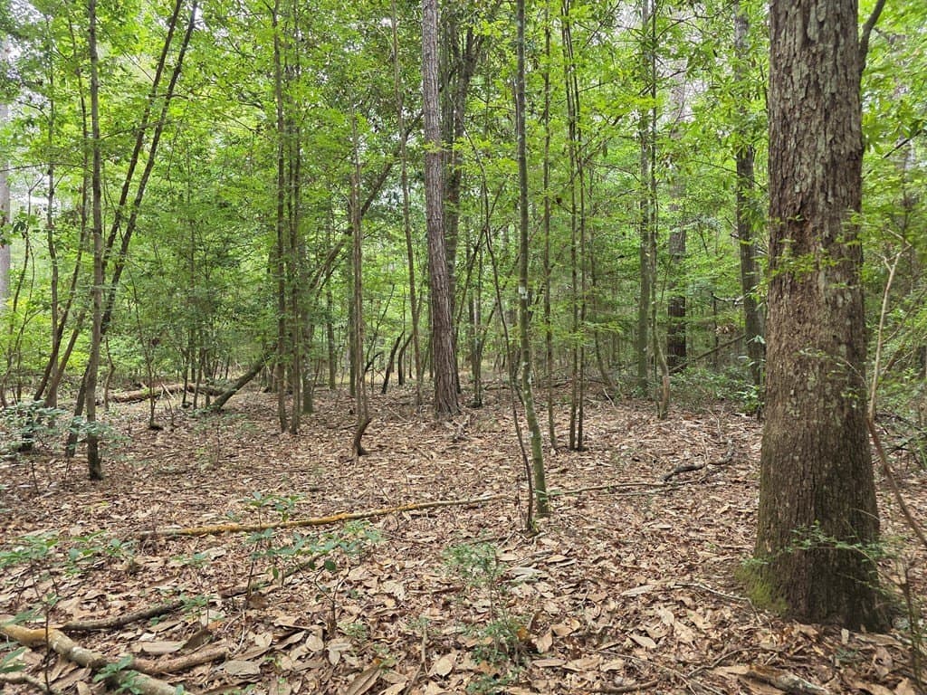 28.88 acres in Texas County - photo 67