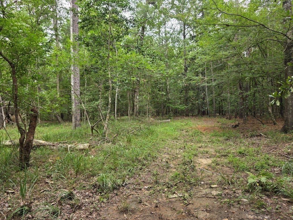28.88 acres in Texas County - photo 59