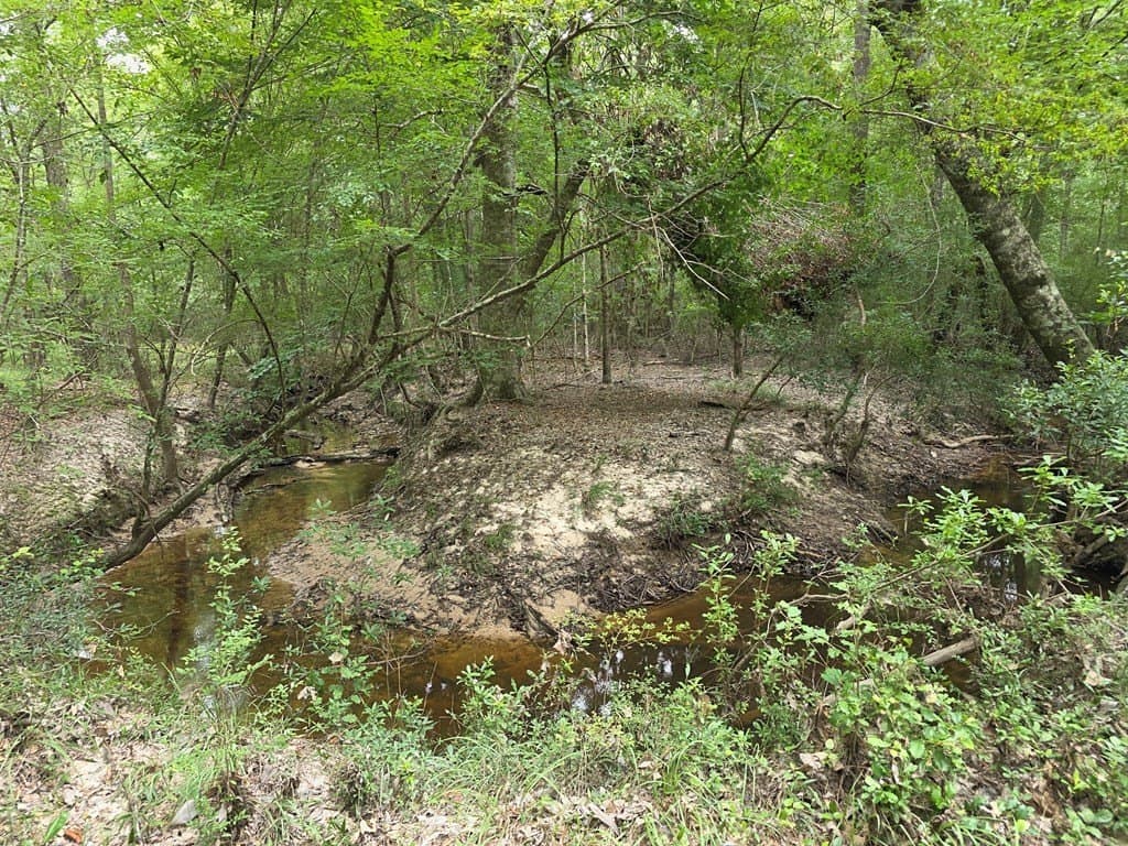 28.88 acres in Texas County - photo 55