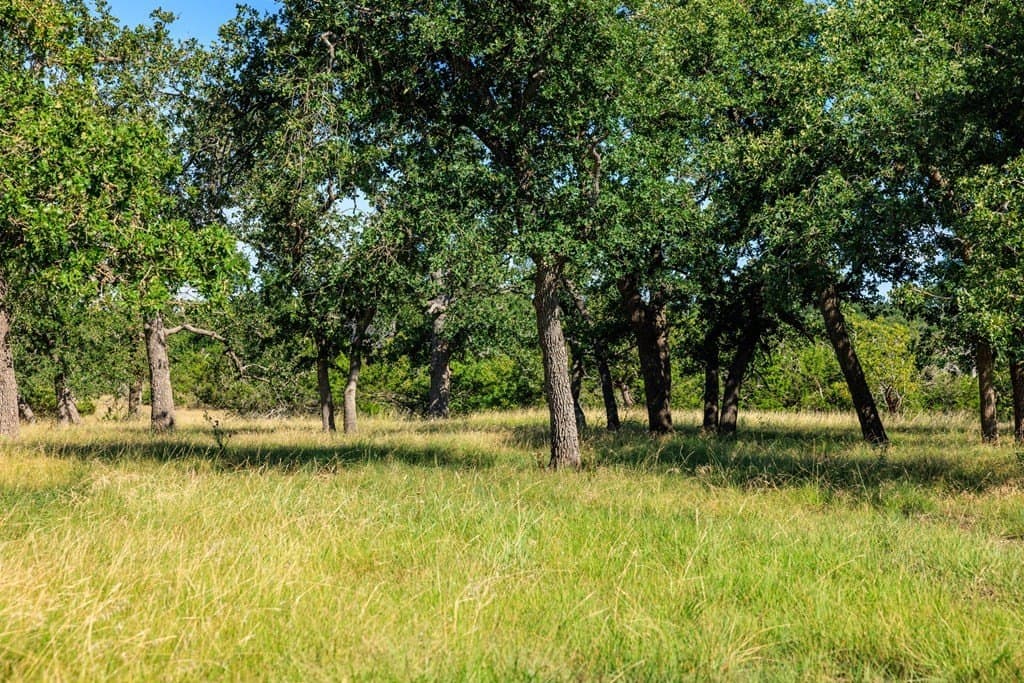 10.03 acres in Gillespie County gallery image 2