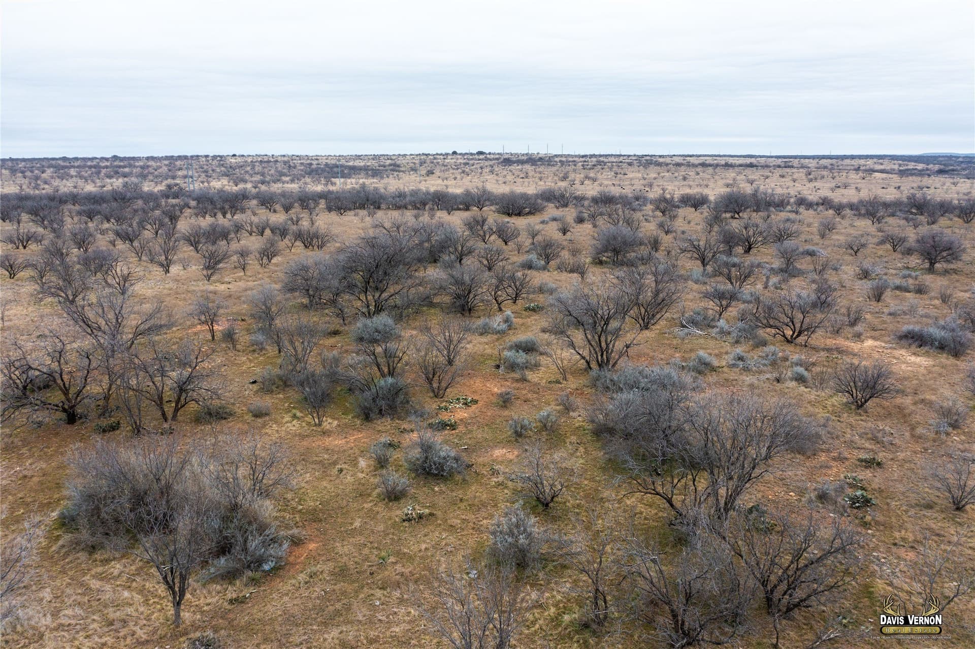 127.38 acres in Callahan County - photo 14