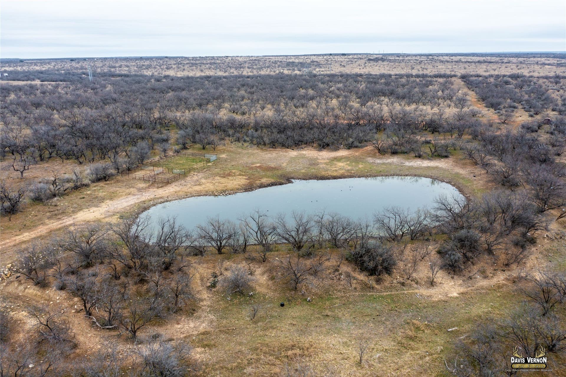 127.38 acres in Callahan County gallery image 3
