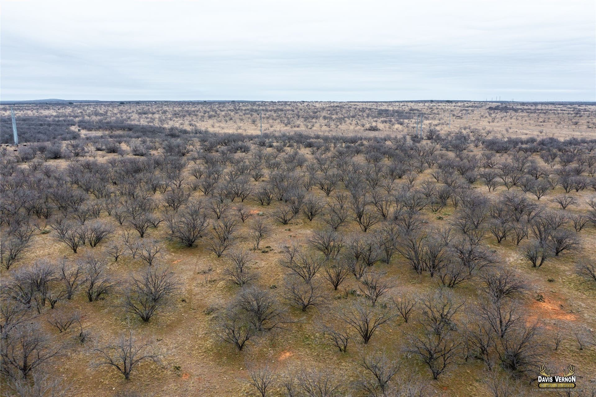 127.38 acres in Callahan County featured view