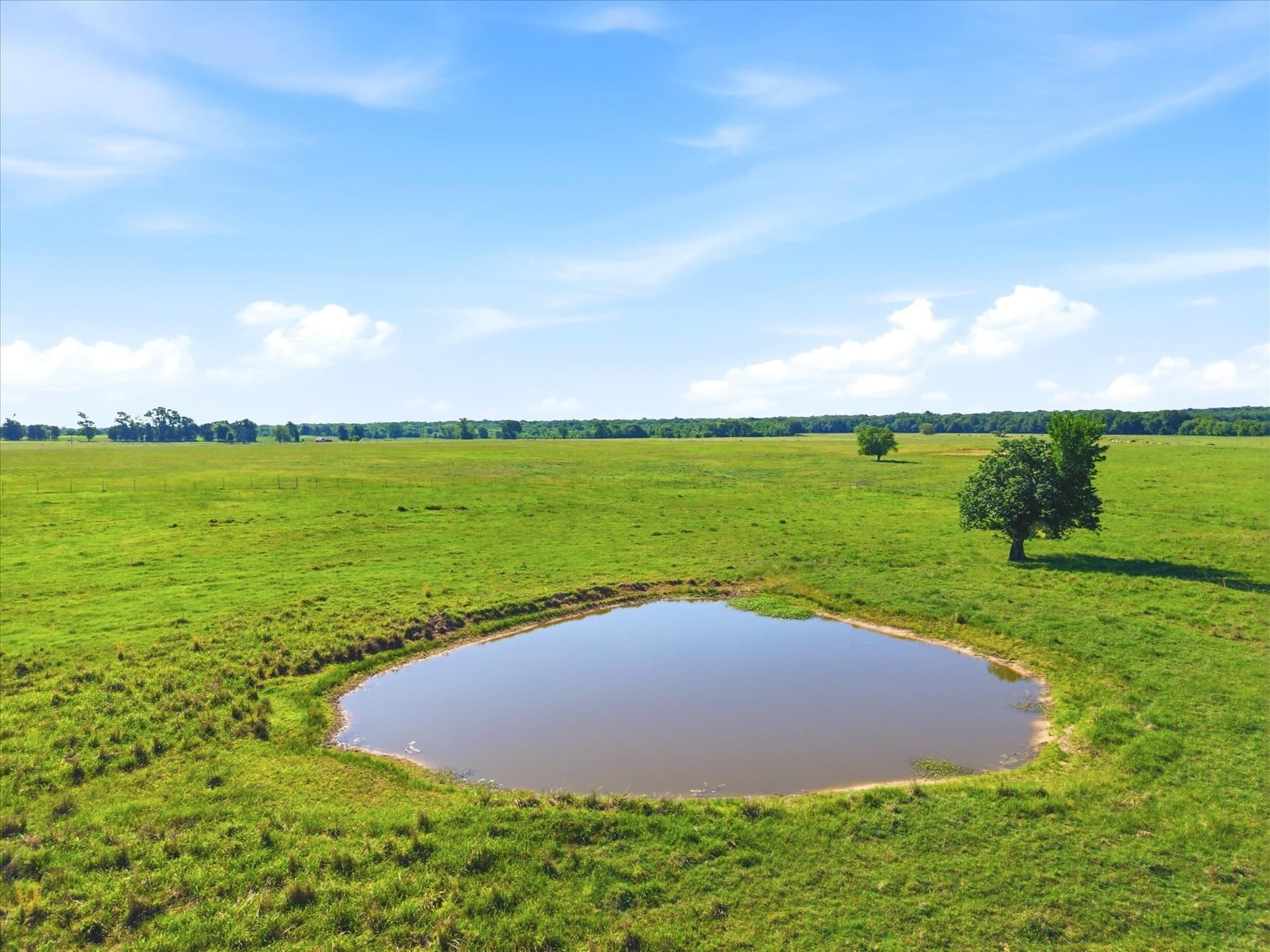 174.55 acres in Van Zandt County - photo 23