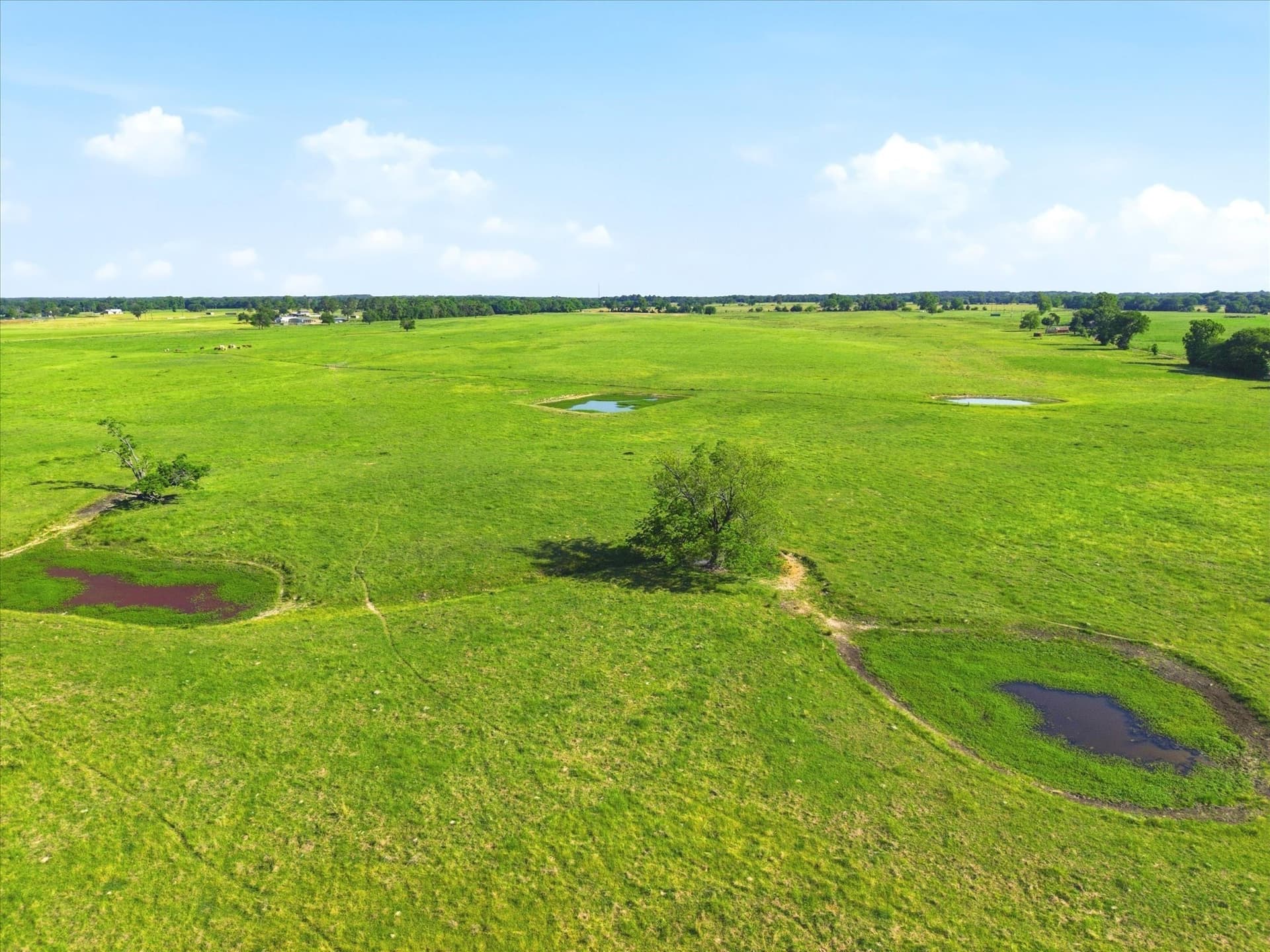 174.55 acres in Van Zandt County - photo 6