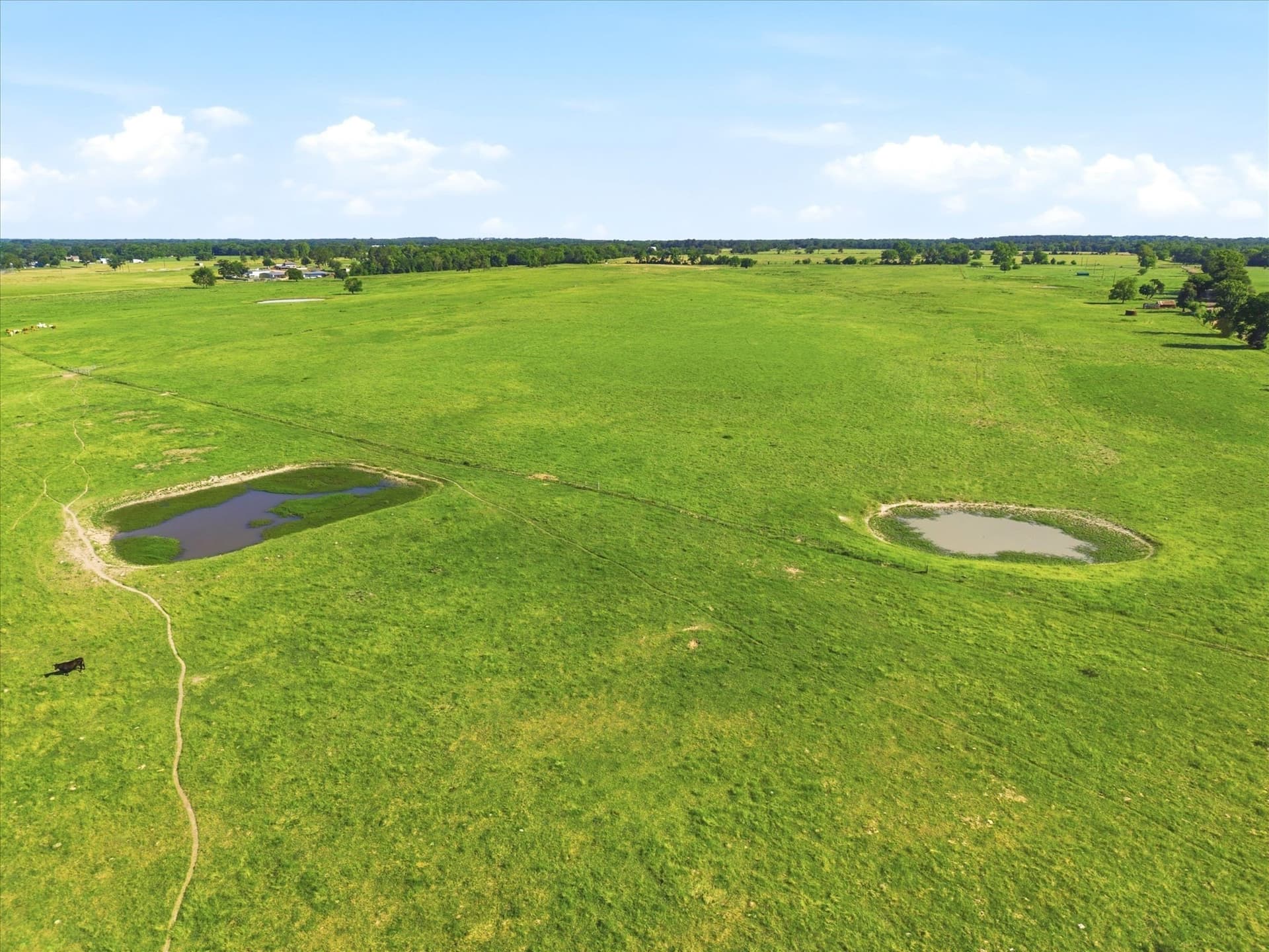 174.55 acres in Van Zandt County - photo 14