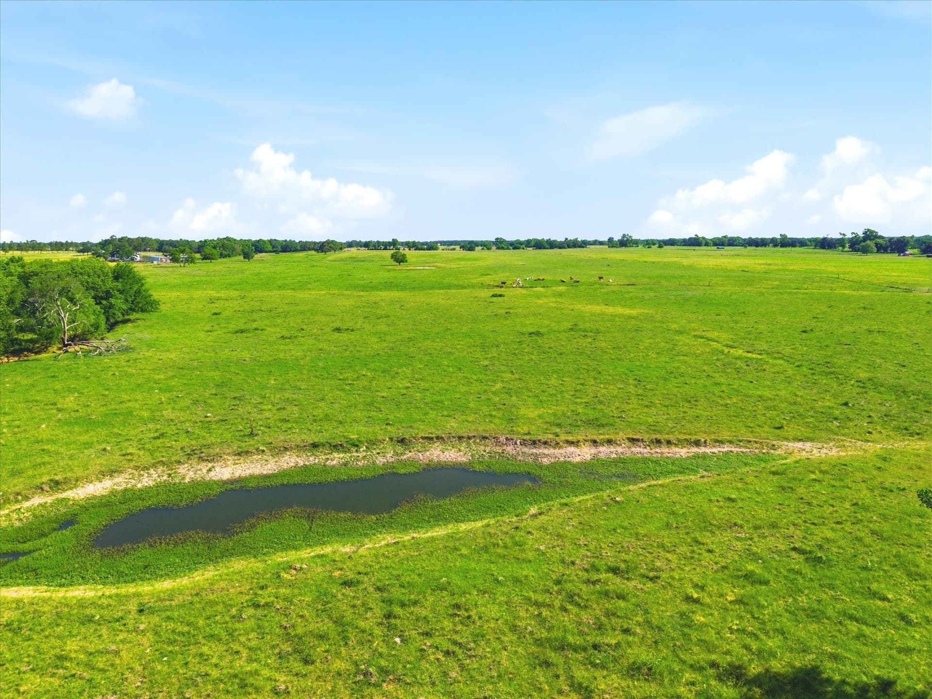 174.55 acres in Van Zandt County - photo 27