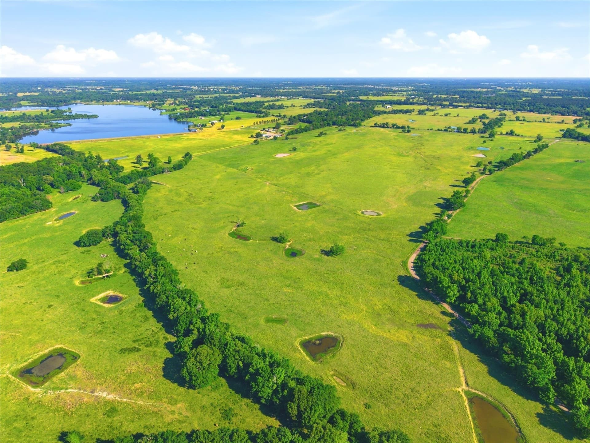 174.55 acres in Van Zandt County gallery image 4
