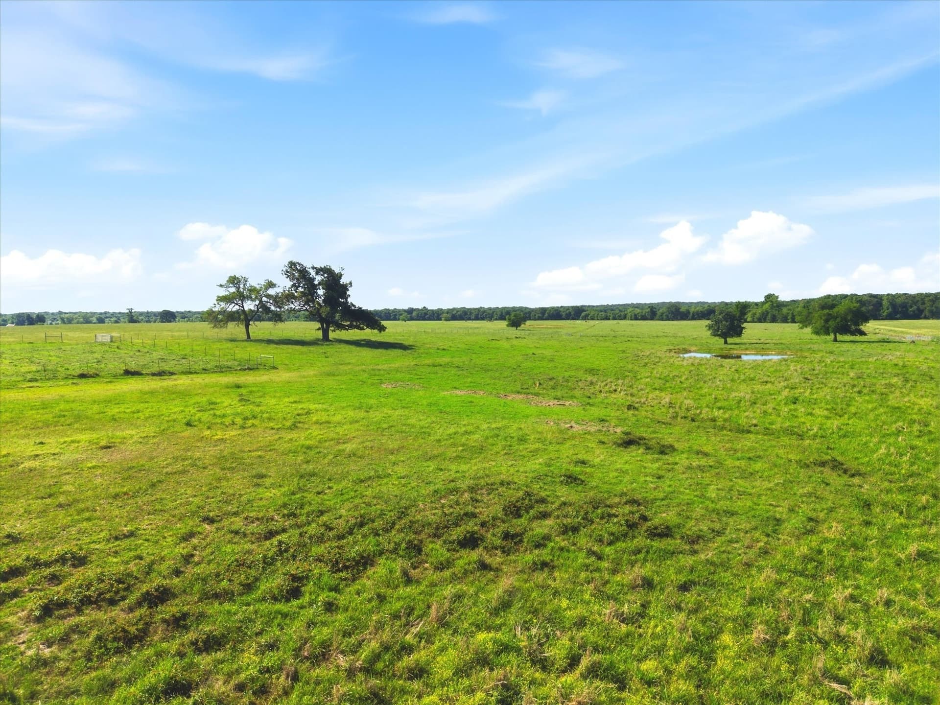 174.55 acres in Van Zandt County - photo 22