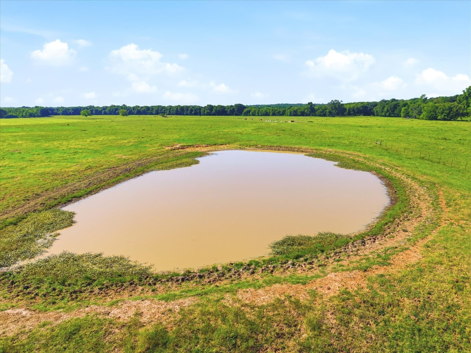 174.55 acres in Van Zandt County - photo 24