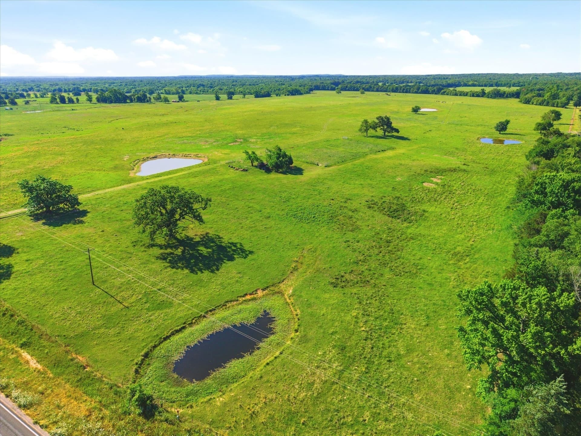 174.55 acres in Van Zandt County - photo 19