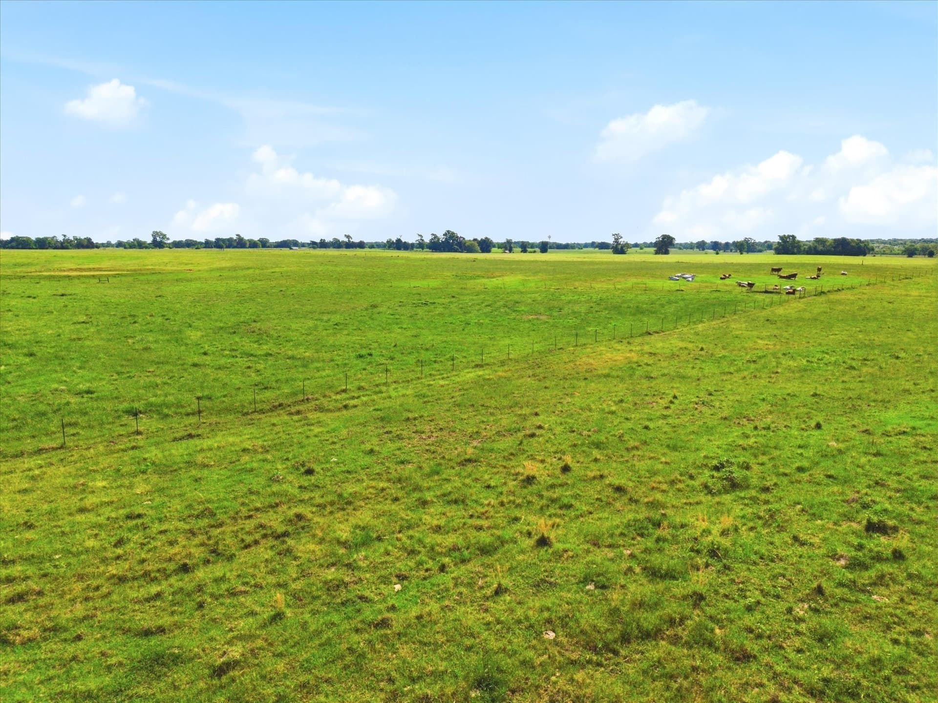 174.55 acres in Van Zandt County - photo 25