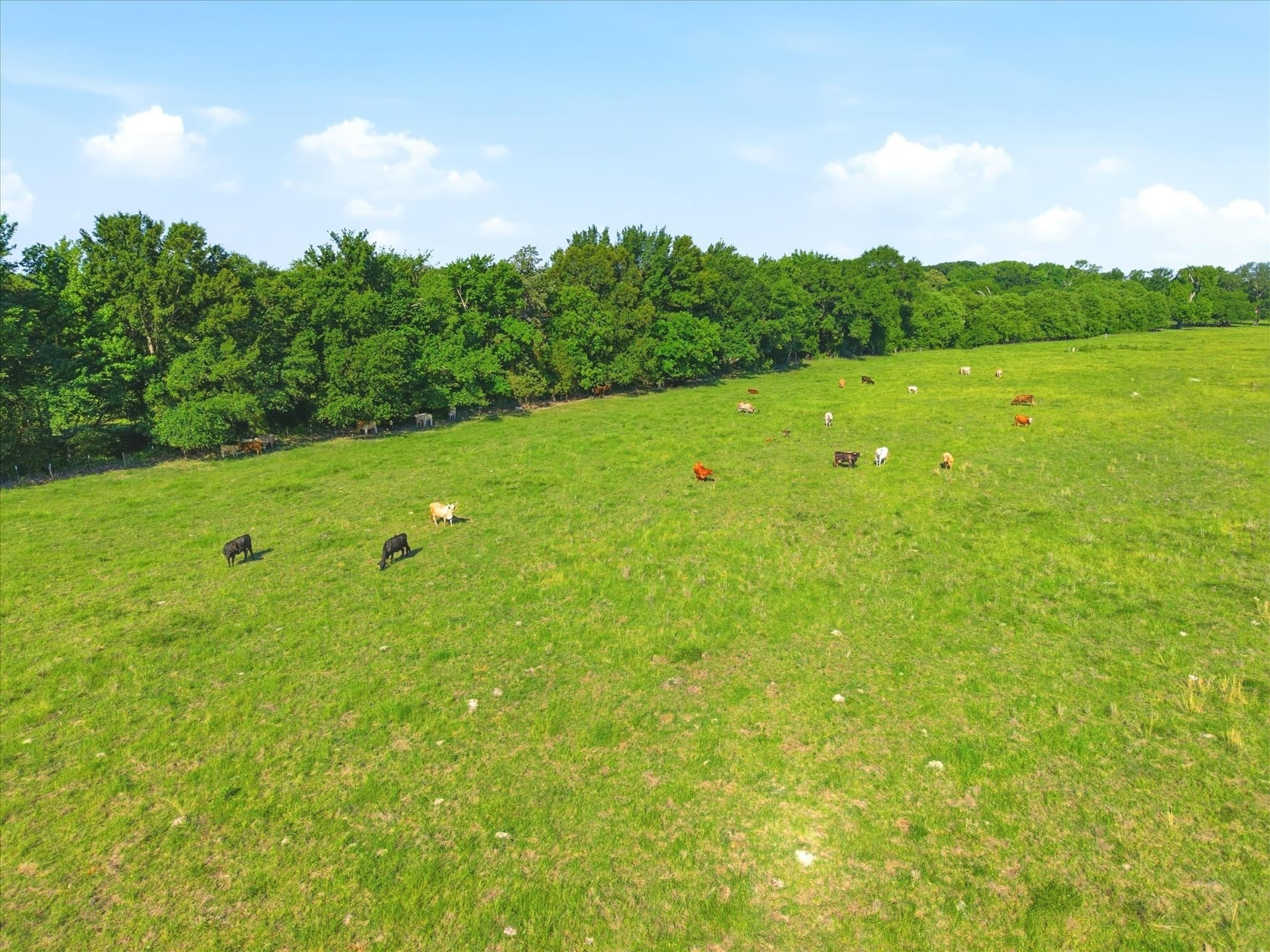 174.55 acres in Van Zandt County - photo 7