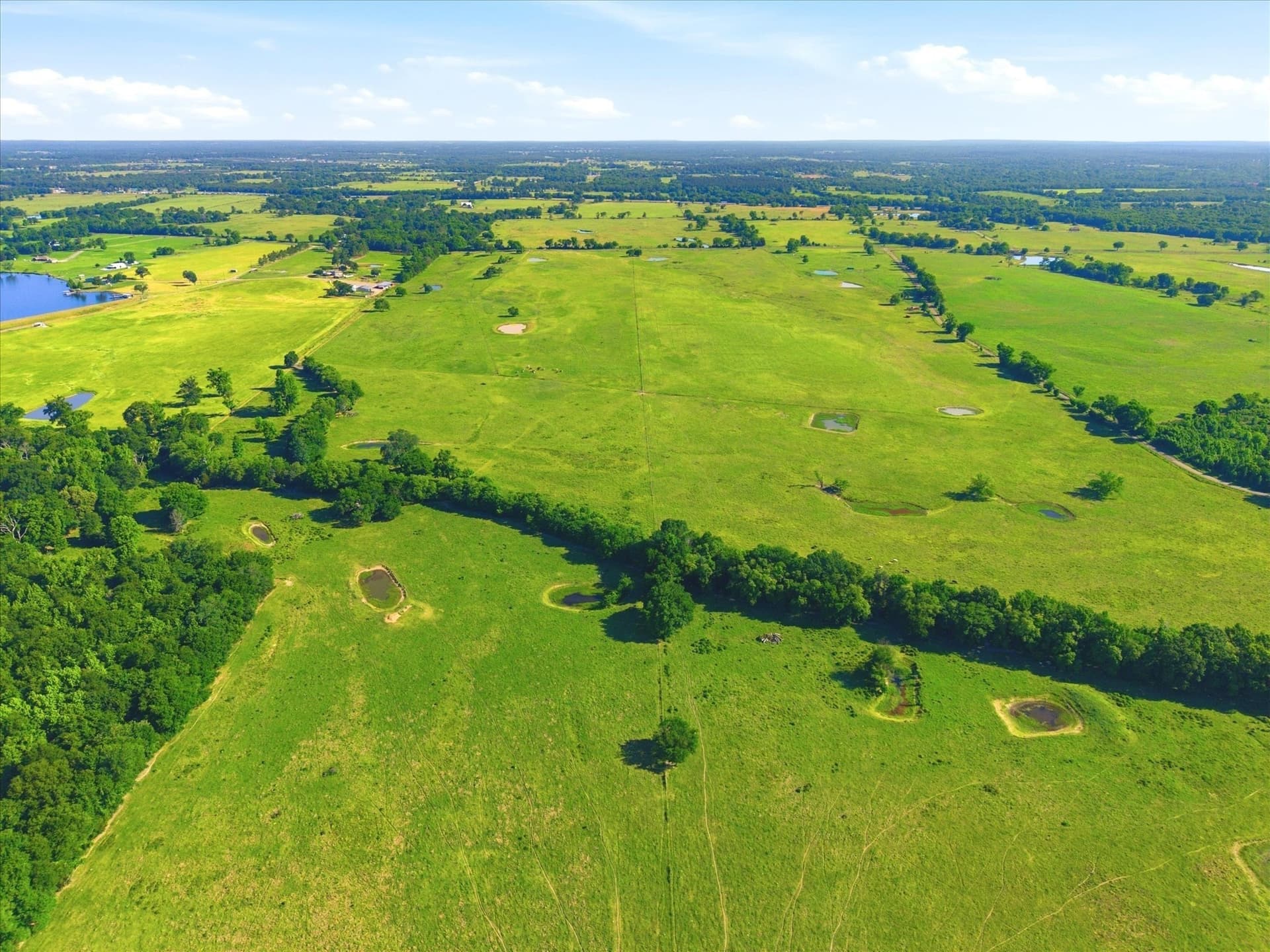 174.55 acres in Van Zandt County gallery image 3