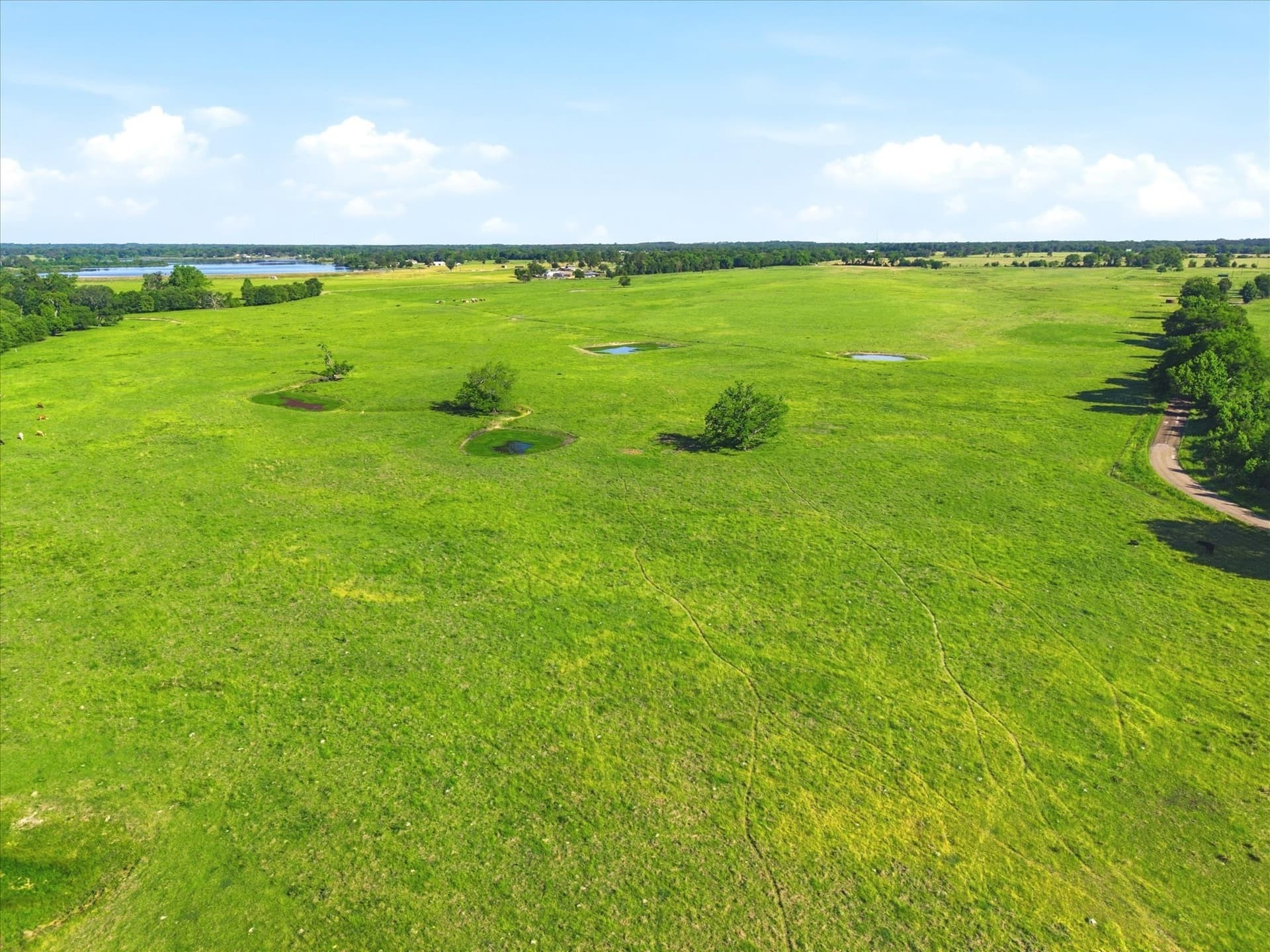 174.55 acres in Van Zandt County featured view
