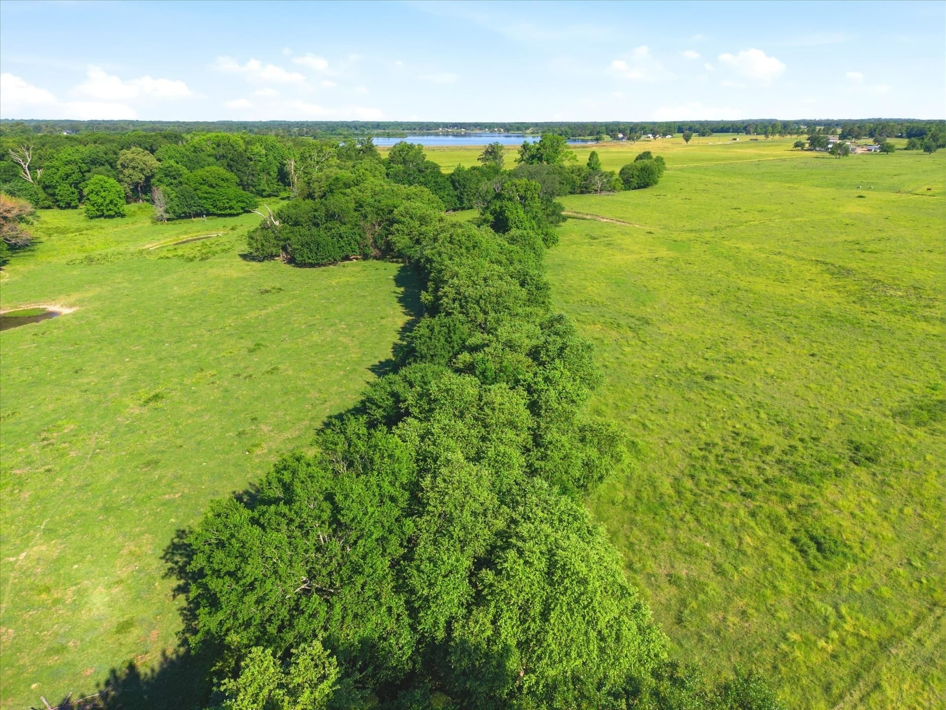 174.55 acres in Van Zandt County - photo 8
