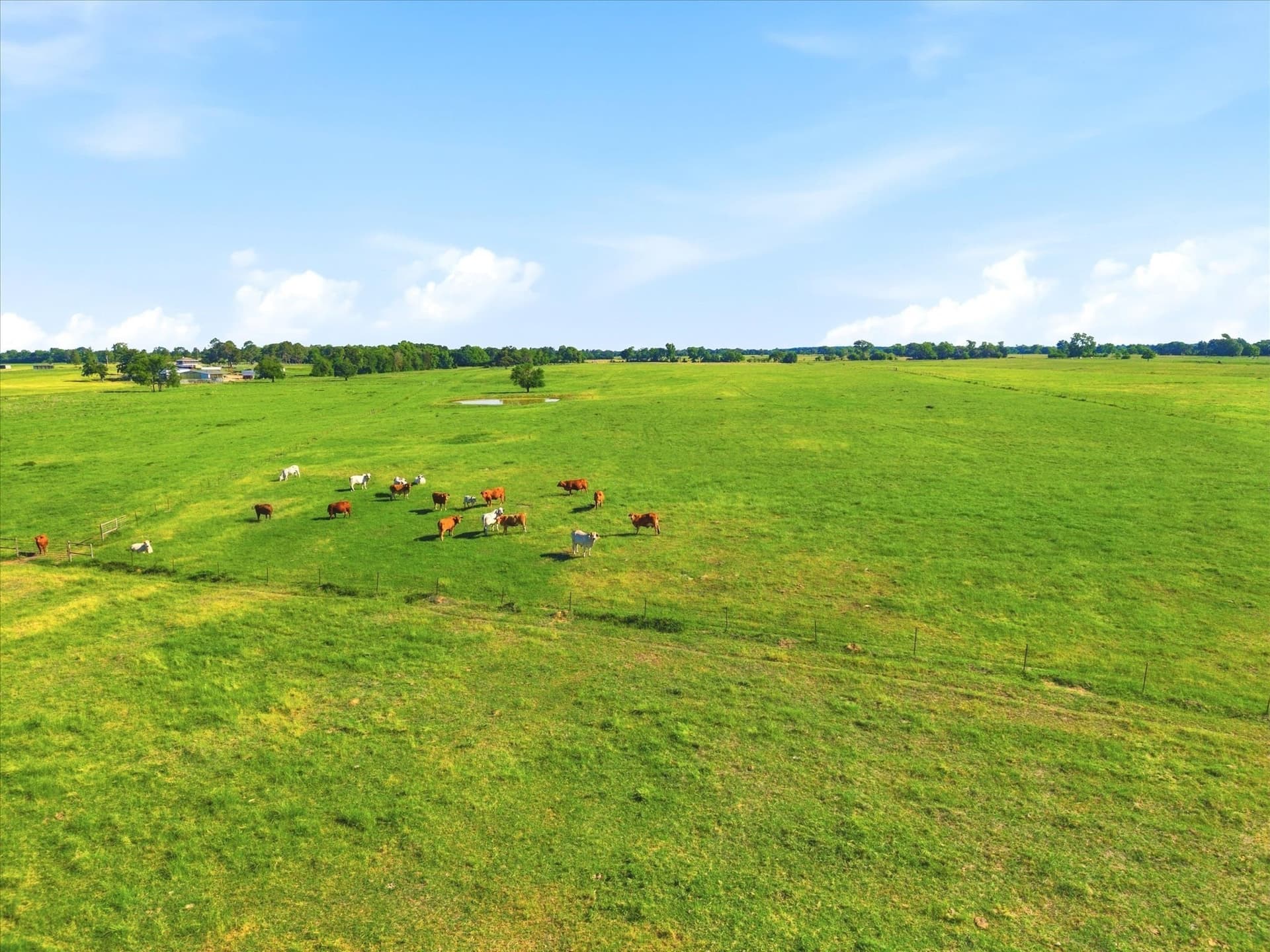174.55 acres in Van Zandt County - photo 11