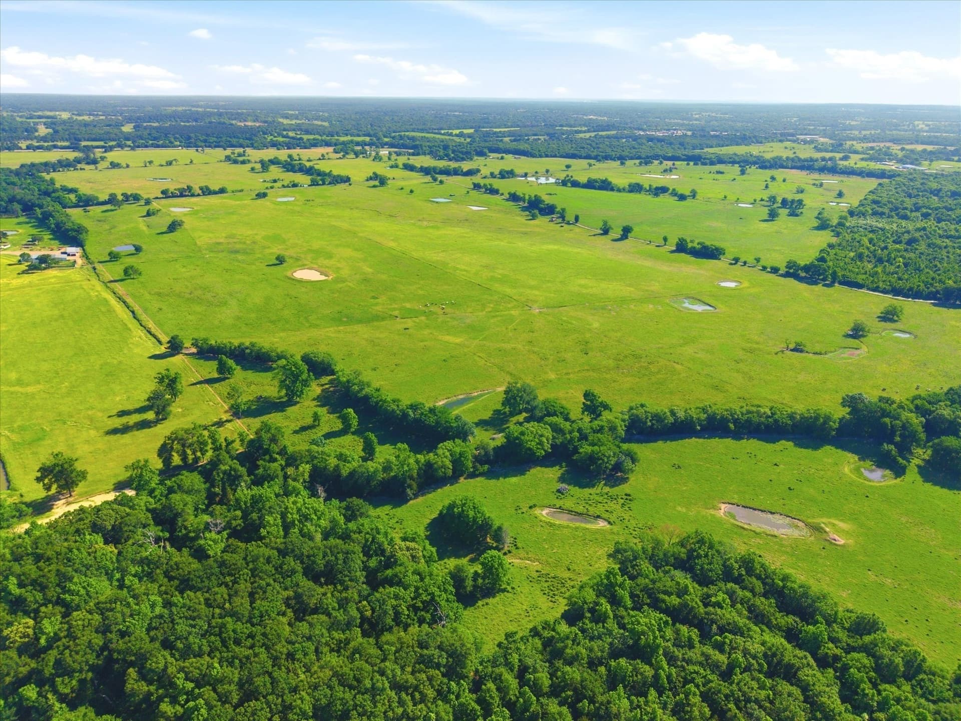174.55 acres in Van Zandt County gallery image 2
