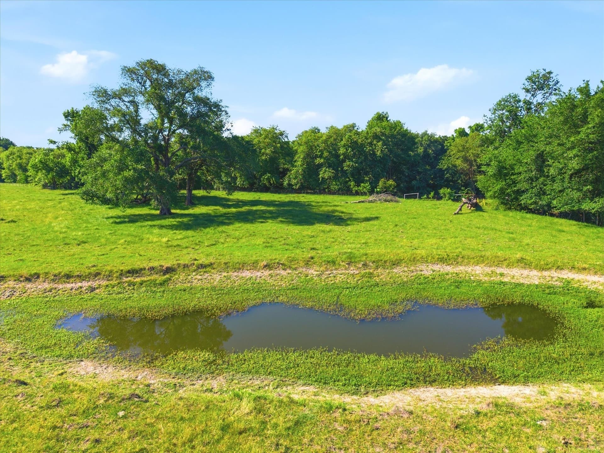 174.55 acres in Van Zandt County - photo 26