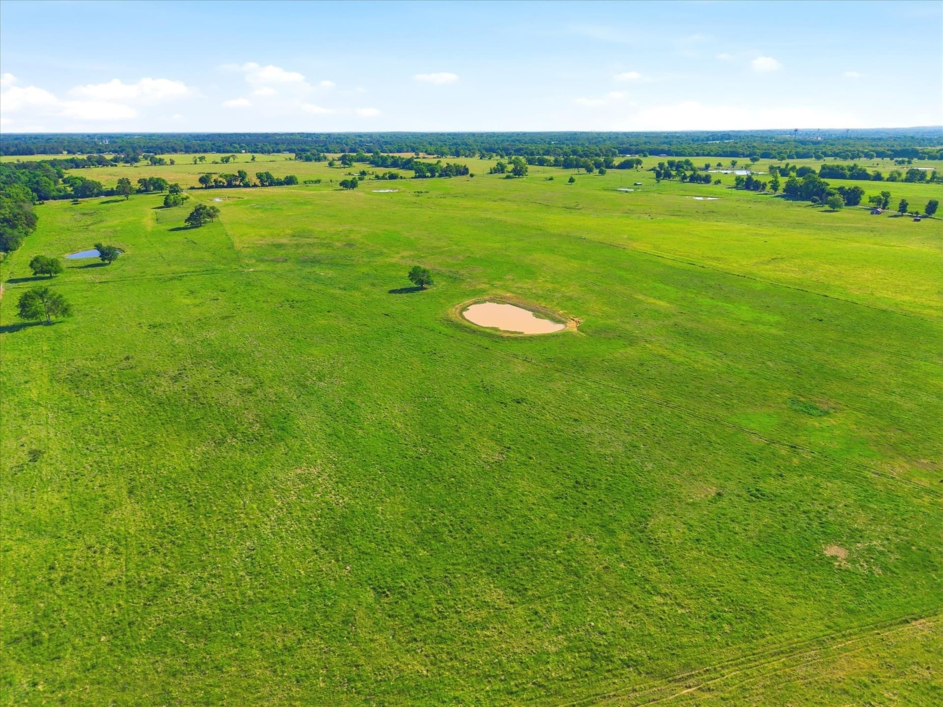 174.55 acres in Van Zandt County - photo 13
