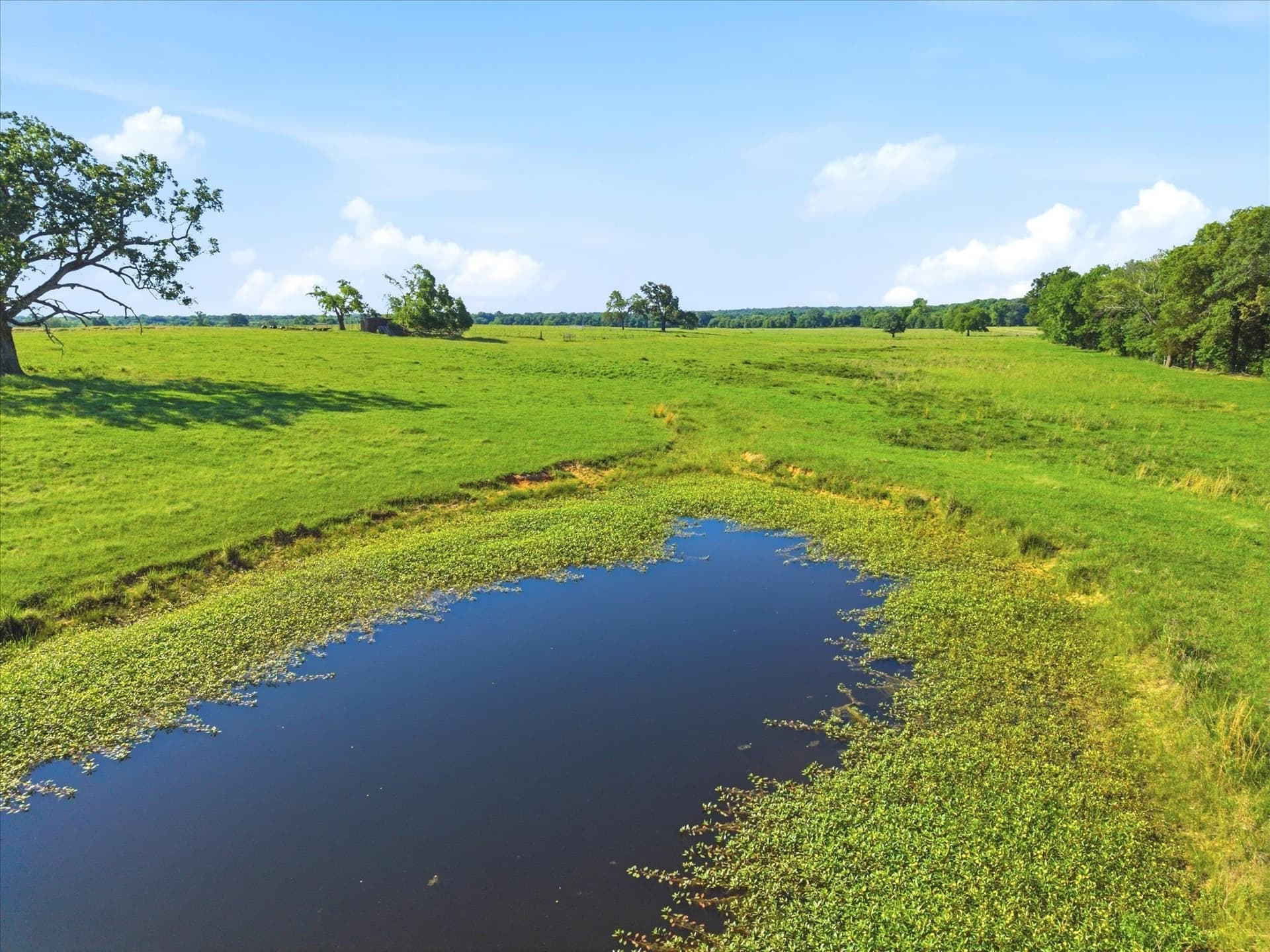 174.55 acres in Van Zandt County - photo 20