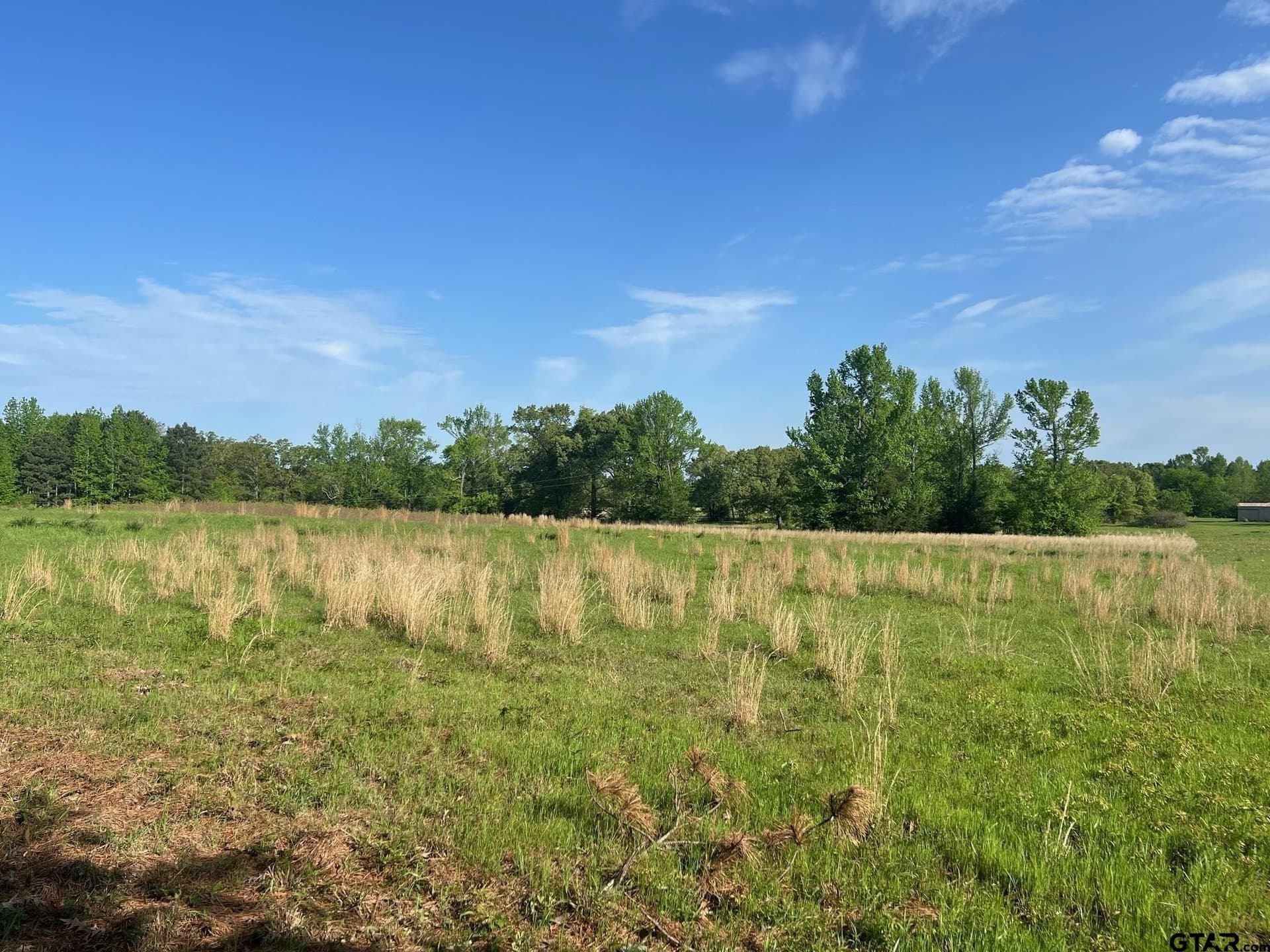 30 acres in Titus County - photo 4