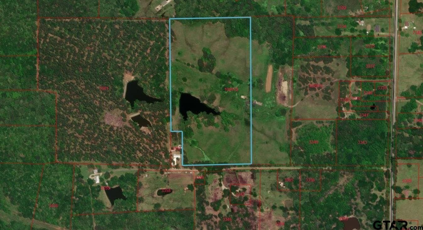 30 acres in Titus County - photo 6